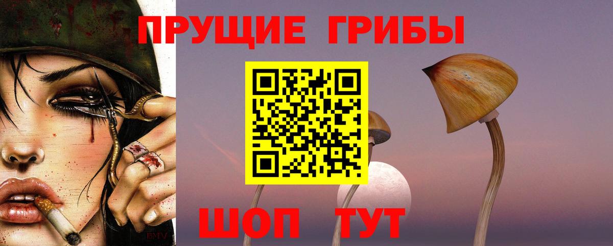 Троицк  Псилоцибиновые грибы ЛСД  Вход с VPN 